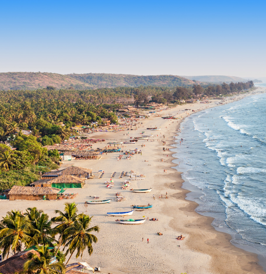 Baga & Calangute Beaches: